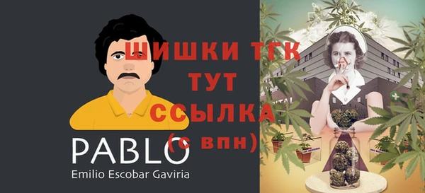 хмурый Абаза