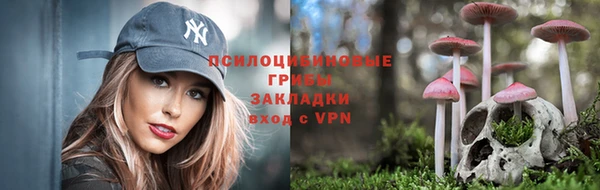 прущая мука Алзамай