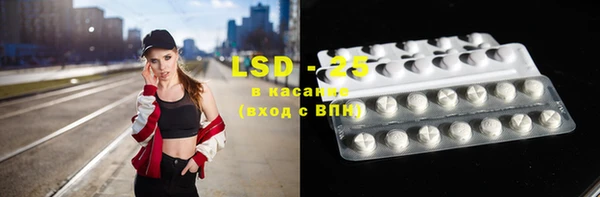 хмурый Абаза
