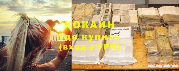 метадон Алексин