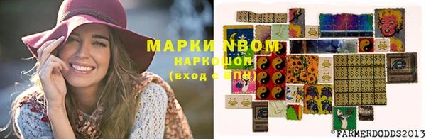 метадон Алексин