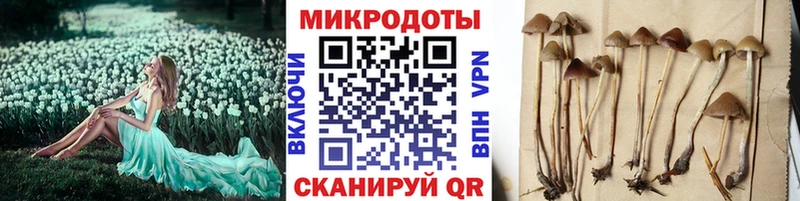 Псилоцибиновые грибы GOLDEN TEACHER наркошоп Иркутск